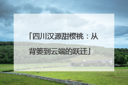 四川汉源甜樱桃：从背篓到云端的跃迁